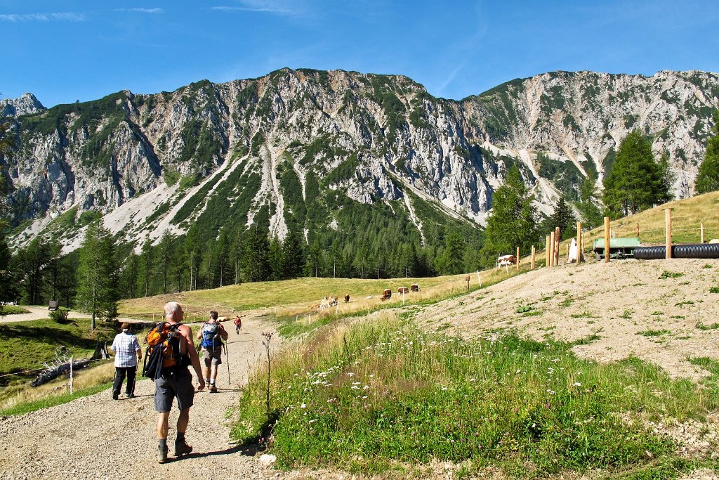 96 wir kommen zum Stinzesteig und vor uns der Kosiak wo wir hinauf wollen.jpg